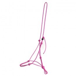 F.R.A. training halter Lazy