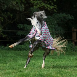 Bucas Freedom Turnout Light Camouflage