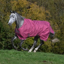 Bucas Freedom Turnout Raspberry