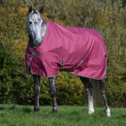 Bucas Freedom Turnout Raspberry