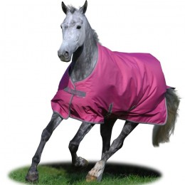 Bucas Freedom Turnout Raspberry