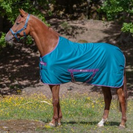 Bucas Freedom Twill Sheet Green / Violet