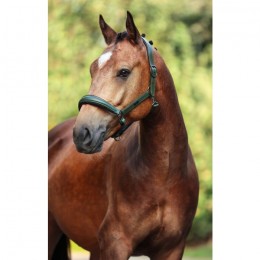 Equestrian Stockholm FW'24 Striking Valley Glimmer Anatomic Leren Halter