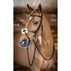 LeMieux Grackle bridle