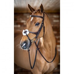 LeMieux Grackle bridle