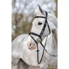 LeMieux Competition Flash bridle