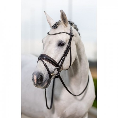 LeMieux Classic Dressage bridle