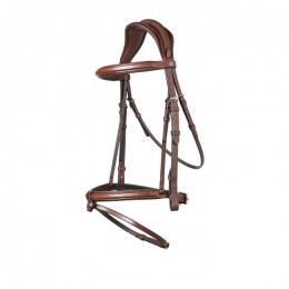 Trust Geneva bridle