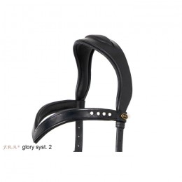 F.R.A. Birdle Glory System 2