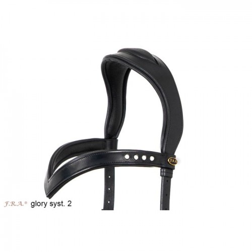 F.R.A. Birdle Glory System 2