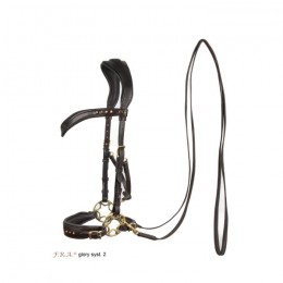 F.R.A. Birdle Glory System 2