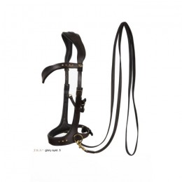 F.R.A. Bridle Glory System 3