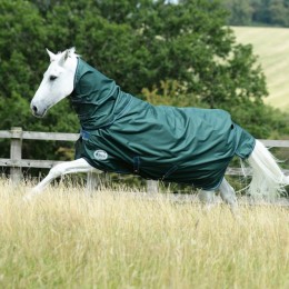 Bucas Green-Line Turnout