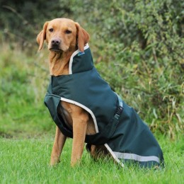 Bucas Greenline Dog Blanket