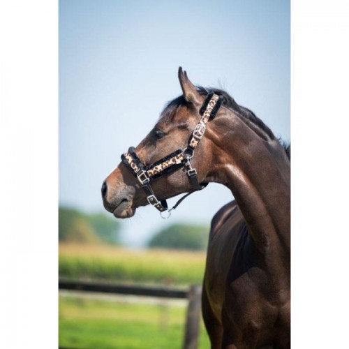 HB Halter Leopard Fur