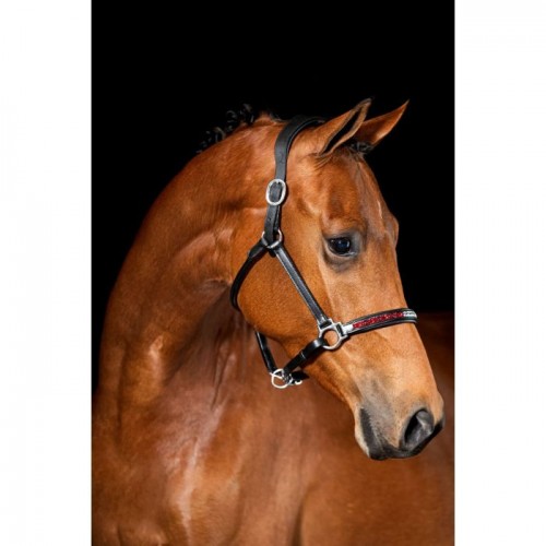 HB Showtime Anatomic Dutch Crown Leather Halter