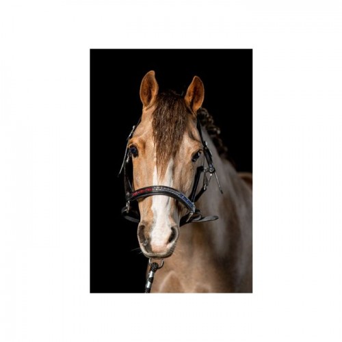 HB Showtime Anatomic Dutch Crown Leather Halter