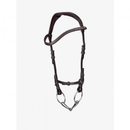 PS of Sweden Helsinki Bridle