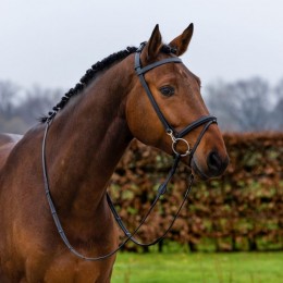 Trust Hamburg Training bridle including rubber reins