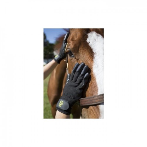 Hands-On Grooming Glove