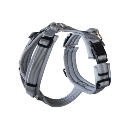 Kentucky Dog Harness active reflective