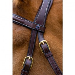 Trust Hickstead bridle hackamore
