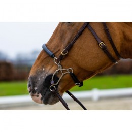 Trust Hickstead bridle hackamore