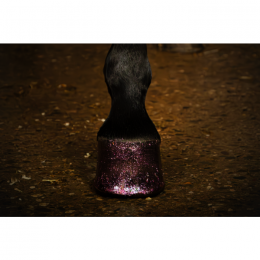 Hi Gloss Glitter Hoof Paint