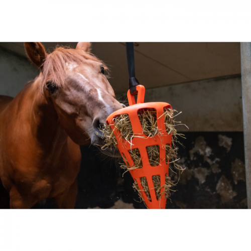 Excellent Hay Slowfeeder Fun and Flex 22 cm Carrot