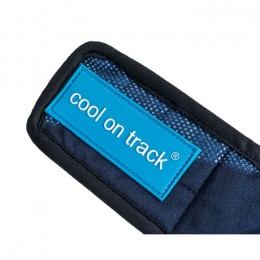 Back on Track Cooling Dog Bandana