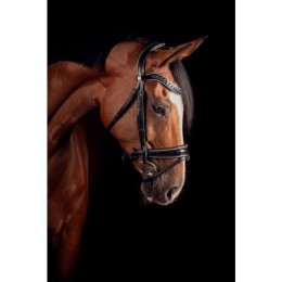 Mrs. Ros Bridle Johnny Silver