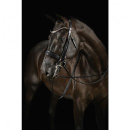 Mrs. Ros Double Bridle Knight Power Deluxe