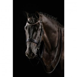 Mrs. Ros Double Bridle Knight Power Deluxe