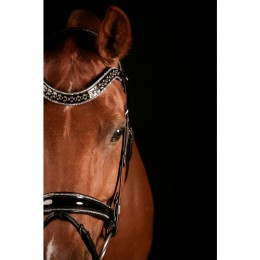 Mrs. Ros Bridle Johnny Silver