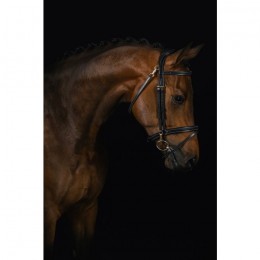 Mrs. Ros Bridle Ortega Deluxe