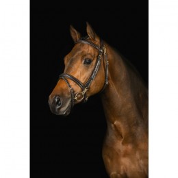 Mrs. Ros Bridle Ortega Deluxe