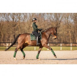 Equestrian Stockholm SS'22 Forest Green dressage saddle pad
