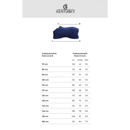 Kentucky Magnetic Rug Recuptex