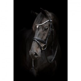 HorseGuard Emi bridle