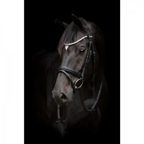 HorseGuard Emi bridle