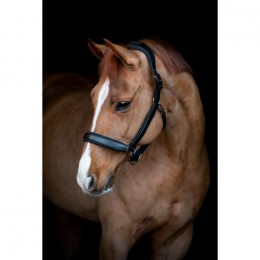 Catago Leather Logo Halter Brielle