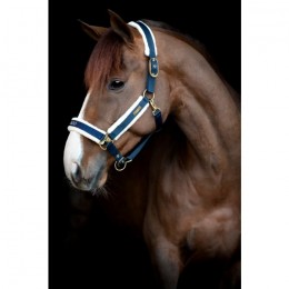 Catago FW'24 Halter Bea