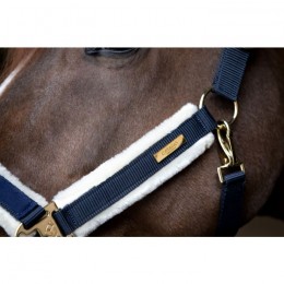 Catago FW'24 Halter Bea