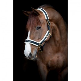 Catago FW'24 Halter Bea