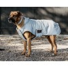 Kentucky Dog Coat Reflective