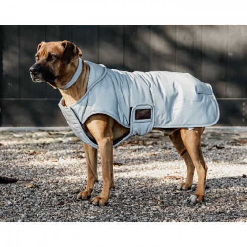 Kentucky Dog Coat Reflective