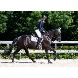 Equestrian Stockholm FW'20 Crystal Grey jumping saddlepad