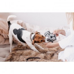 Kentucky Dog Toy Dog Head