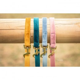 Kentukcy Dog Lead Velvet