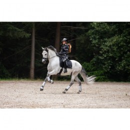 Mrs. Ros SS25 Silhouette Riding Tights Jet Set Logo